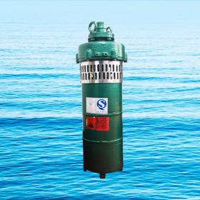 QS小型潛水電泵、QST660V特種電（diàn）泵